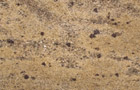 Detailansicht Granit Golden Sand